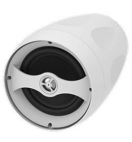 PD6T